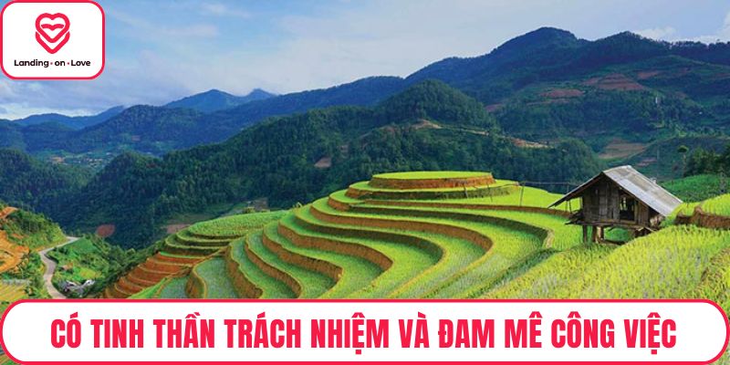 Có tinh thần trách nhiệm và đam mê công việc