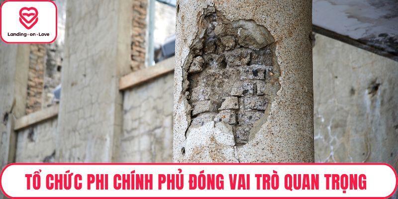 Tổ chức phi chính phủ đóng vai trò quan trọng